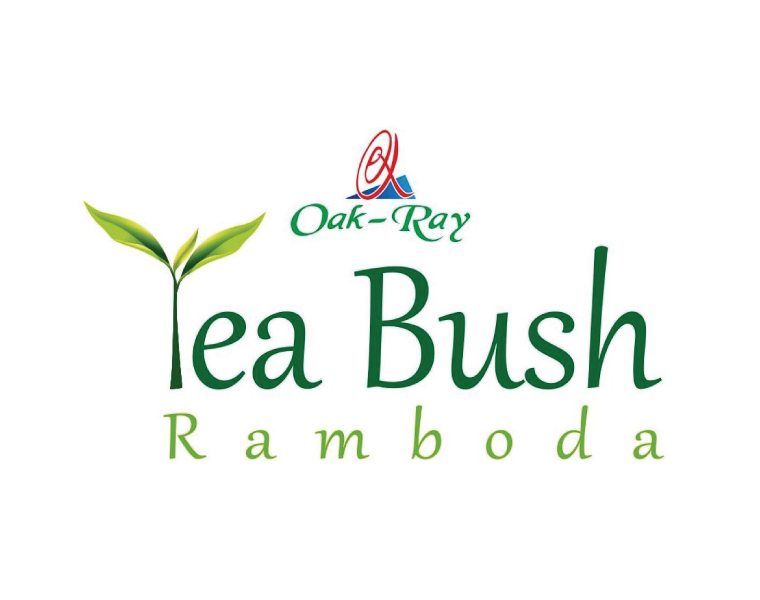 Oak Ray Tea Bush – Ramboda